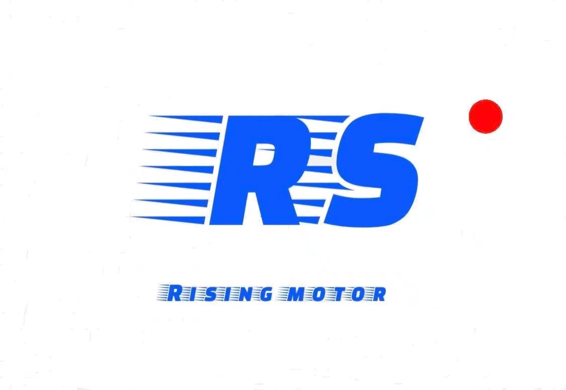 Hunan Rising Motor Co.,Ltd