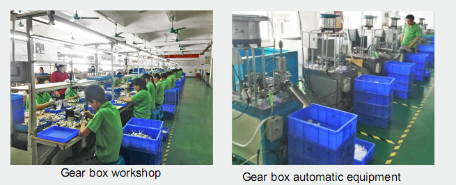 Gear Motor facilities.png