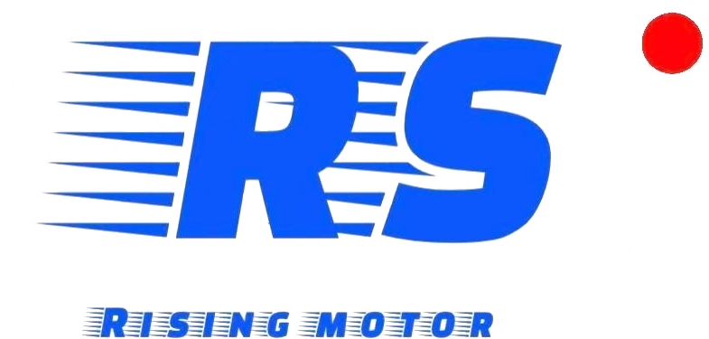 Hunan Rising Motor Co., Ltd.